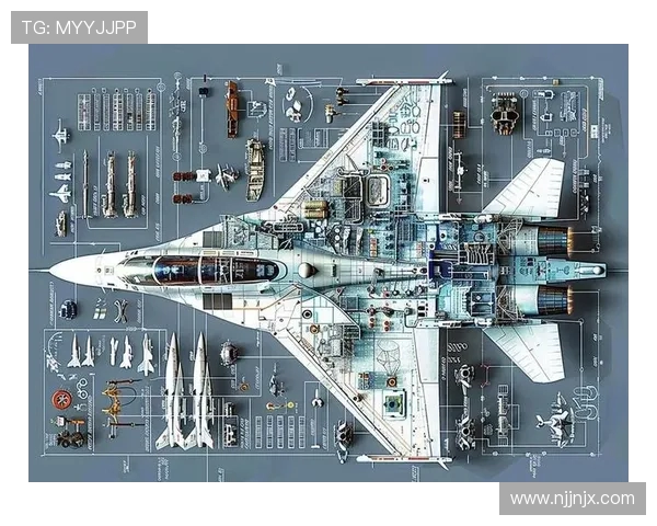 战斗机机身结构的隐身承载一体化